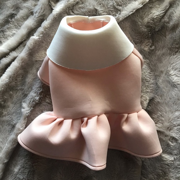 Dog dress - Picture 1 of 5